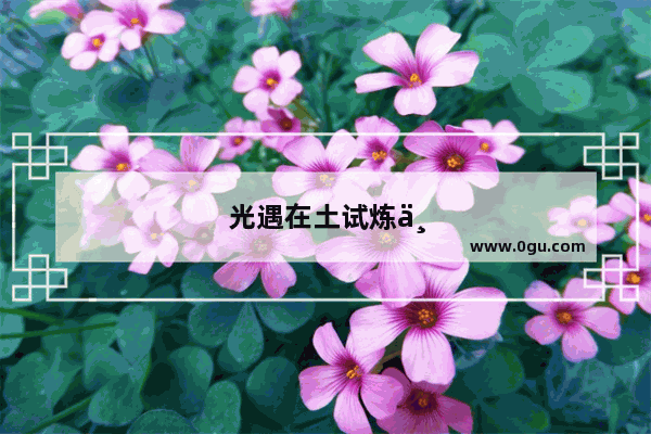 光遇在土试炼为什么回不去