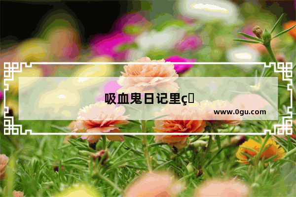 吸血鬼日记里的klaus演员的详细资料