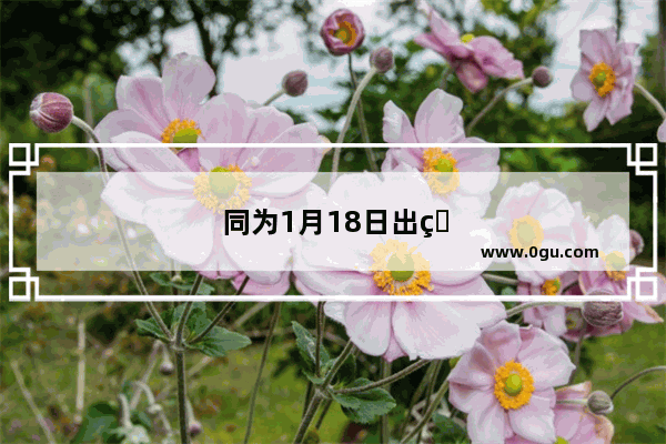 同为1月18日出生的两位大咖“周杰伦”与“郭德纲” 谁在娱乐圈的影响力更大