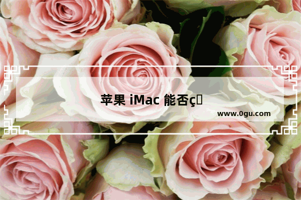 苹果 iMac 能否畅玩 Dota2？