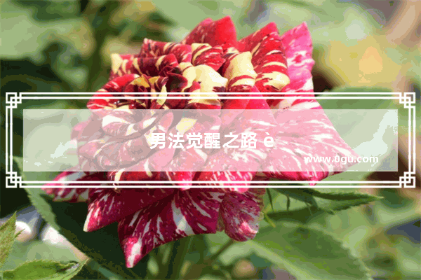 男法觉醒之路 踏上转职成为强大魔法师的征程