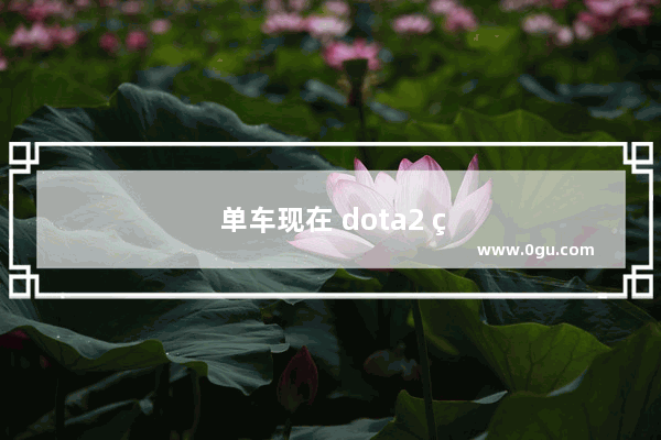 单车现在 dota2 电竞选手的荣耀之路