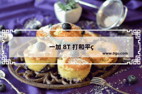 一加 8T 打和平精英是否会出现掉帧现象？