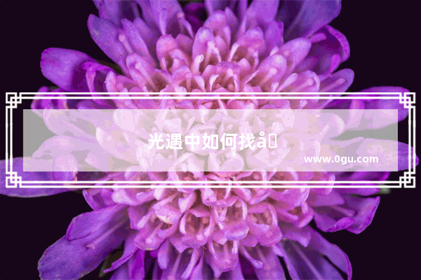 光遇中如何找到理想的监护人？