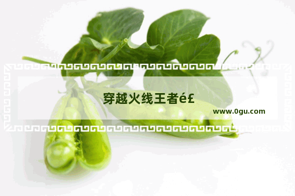 穿越火线王者风神何时问世？