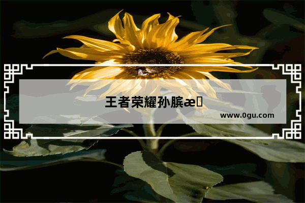 王者荣耀孙膑性别之谜