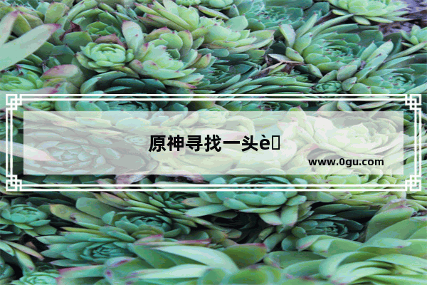 原神寻找一头菇遗迹在哪？