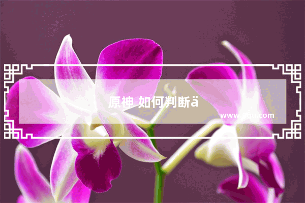 原神 如何判断一个角色是否好玩？