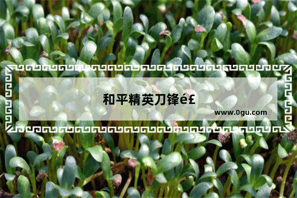 和平精英刀锋飞车 速度与激情的极限挑战！