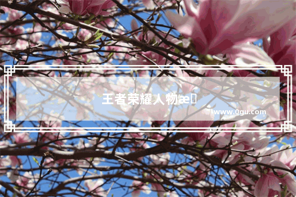 王者荣耀人物数据代码揭秘