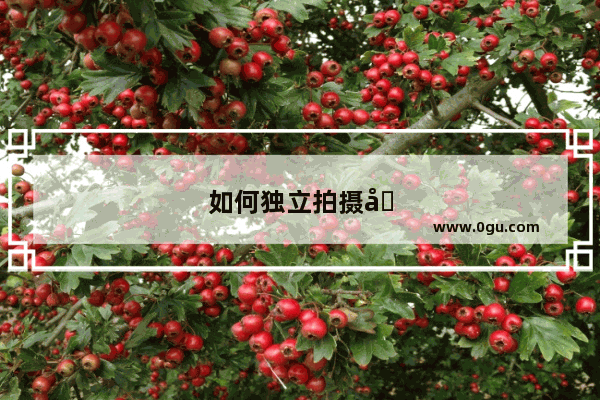 如何独立拍摄和平精英 从入门到精通的全攻略