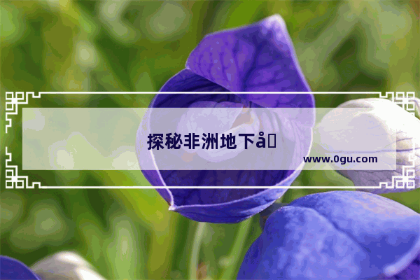 探秘非洲地下城与勇士