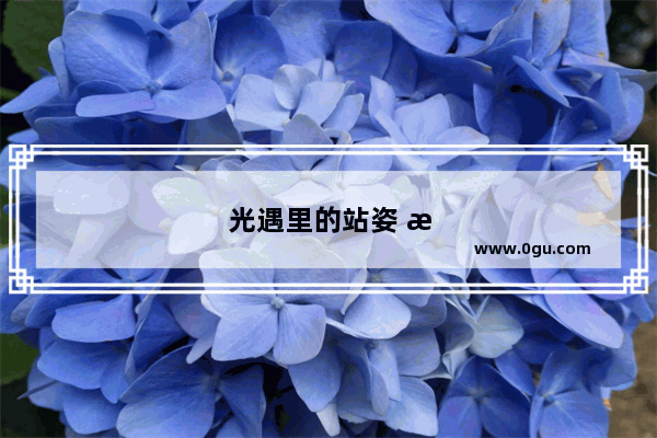光遇里的站姿 探索不同文化与个性的表达方式
