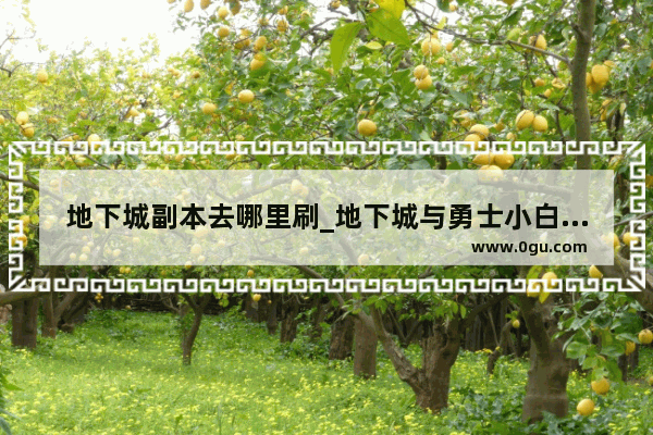 地下城副本去哪里刷_地下城与勇士小白从几级开始搬砖