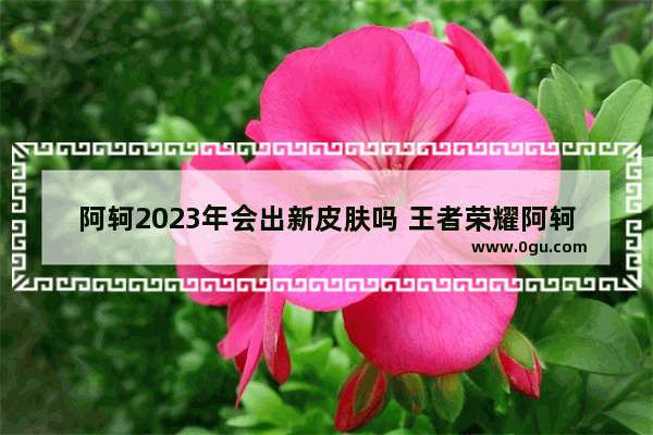 阿轲2023年会出新皮肤吗 王者荣耀阿轲皮肤