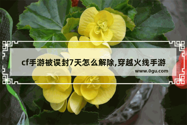 cf手游被误封7天怎么解除,穿越火线手游解封