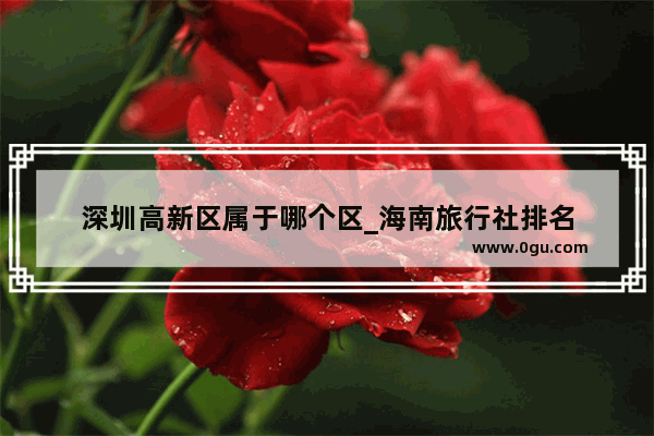 深圳高新区属于哪个区_海南旅行社排名