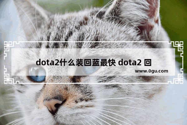 dota2什么装回蓝最快 dota2 回蓝