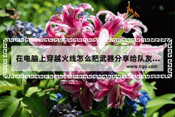 在电脑上穿越火线怎么把武器分享给队友,穿越火线怎么赠送武器