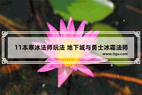 11本寒冰法师玩法 地下城与勇士冰霜法师