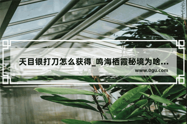 天目银打刀怎么获得_鸣海栖霞秘境为啥石块纹丝不动