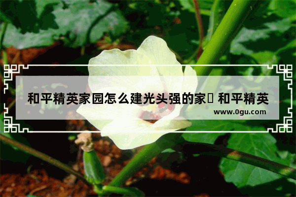 和平精英家园怎么建光头强的家￼ 和平精英的家