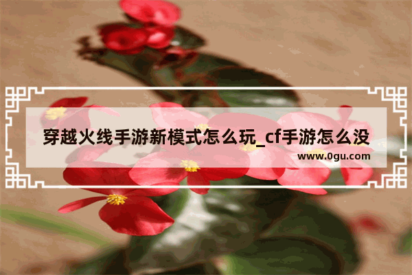 穿越火线手游新模式怎么玩_cf手游怎么没有突围模式