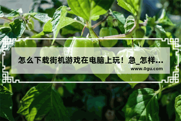 怎么下载街机游戏在电脑上玩！急_怎样在电脑上玩光枪街机游戏