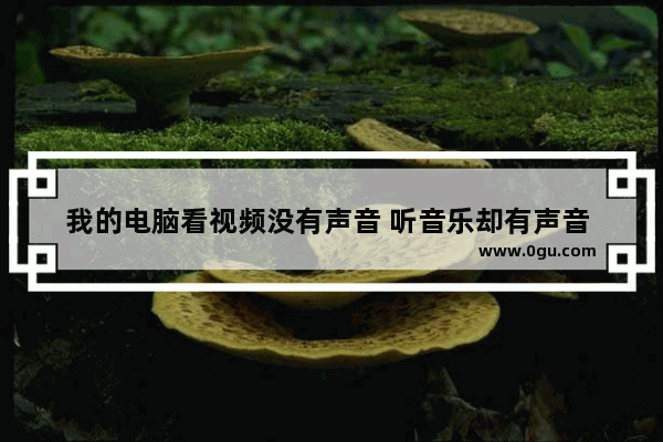 我的电脑看视频没有声音 听音乐却有声音 这是怎么回事 电脑放歌没声音