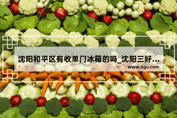 沈阳和平区有收单门冰箱的吗_沈阳三好街哪家修电脑修的好