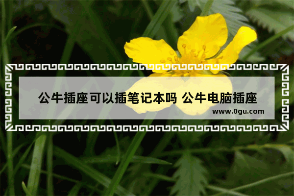 公牛插座可以插笔记本吗 公牛电脑插座
