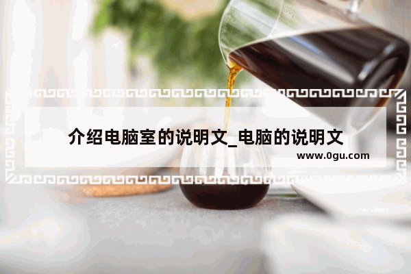 介绍电脑室的说明文_电脑的说明文