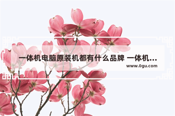 一体机电脑原装机都有什么品牌 一体机电脑价格