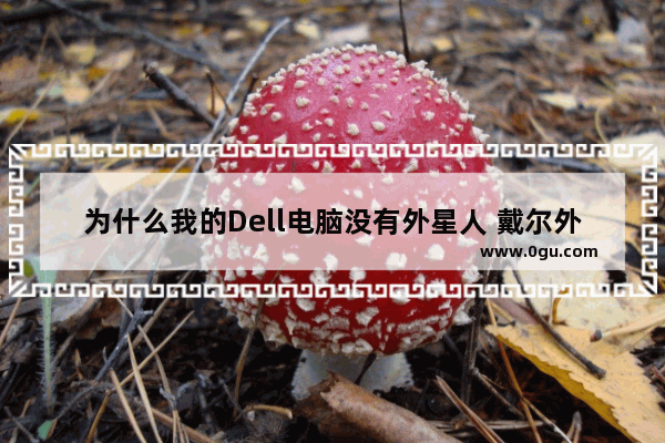 为什么我的Dell电脑没有外星人 戴尔外星人电脑