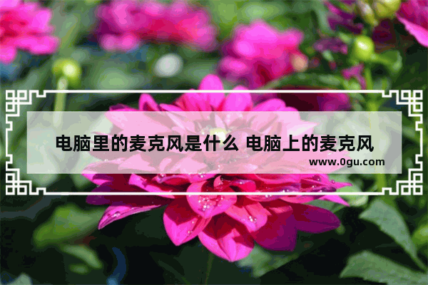 电脑里的麦克风是什么 电脑上的麦克风
