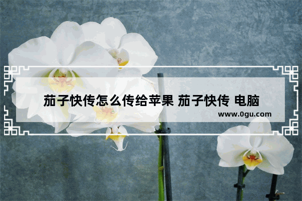 茄子快传怎么传给苹果 茄子快传 电脑