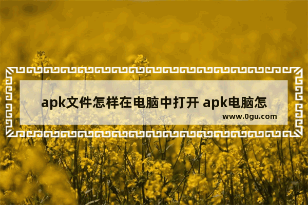 apk文件怎样在电脑中打开 apk电脑怎么打开