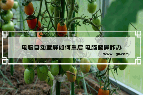 电脑自动蓝屏如何重启 电脑蓝屏咋办