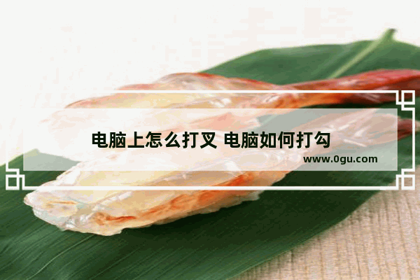 电脑上怎么打叉 电脑如何打勾