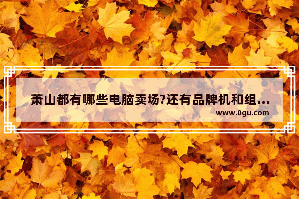 萧山都有哪些电脑卖场?还有品牌机和组装机哪_杭州配电脑哪好