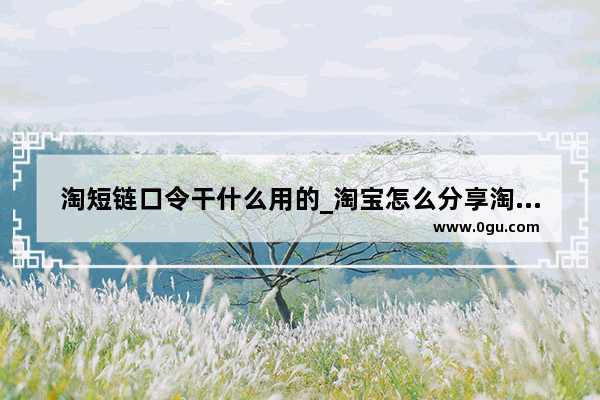 淘短链口令干什么用的_淘宝怎么分享淘口令