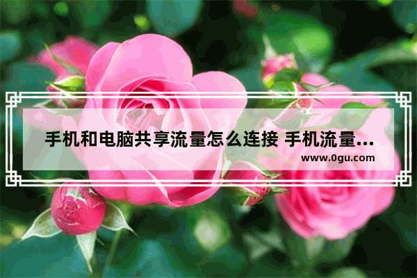 手机和电脑共享流量怎么连接 手机流量连接电脑