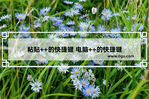 粘贴++的快捷键 电脑++的快捷键