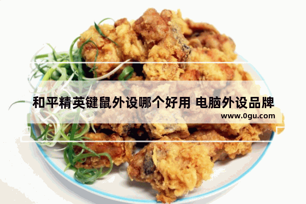 和平精英键鼠外设哪个好用 电脑外设品牌