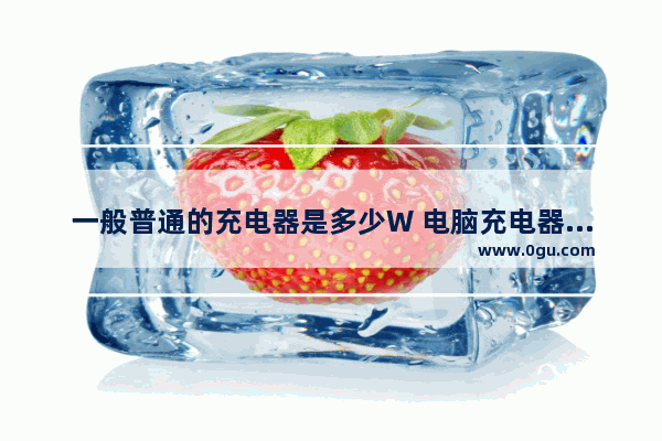 一般普通的充电器是多少W 电脑充电器功率
