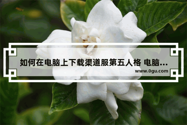 如何在电脑上下载渠道服第五人格 电脑销售渠道