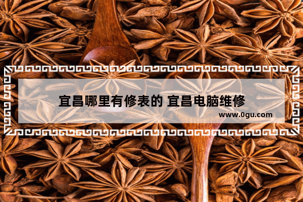 宜昌哪里有修表的 宜昌电脑维修