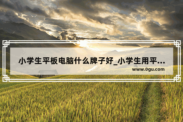 小学生平板电脑什么牌子好_小学生用平板电脑有什么利弊
