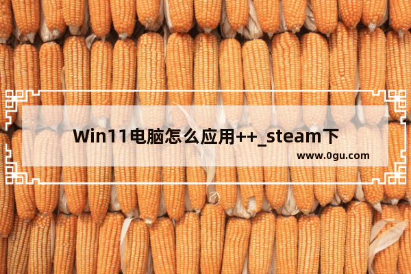 Win11电脑怎么应用++_steam下的游戏如何分身