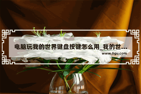 电脑玩我的世界键盘按键怎么用_我的世界电脑版功能按键有哪些